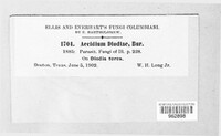 Image Associated With the Occurence